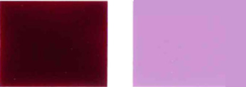 Pigment-gwałtowny-19-kolorowy