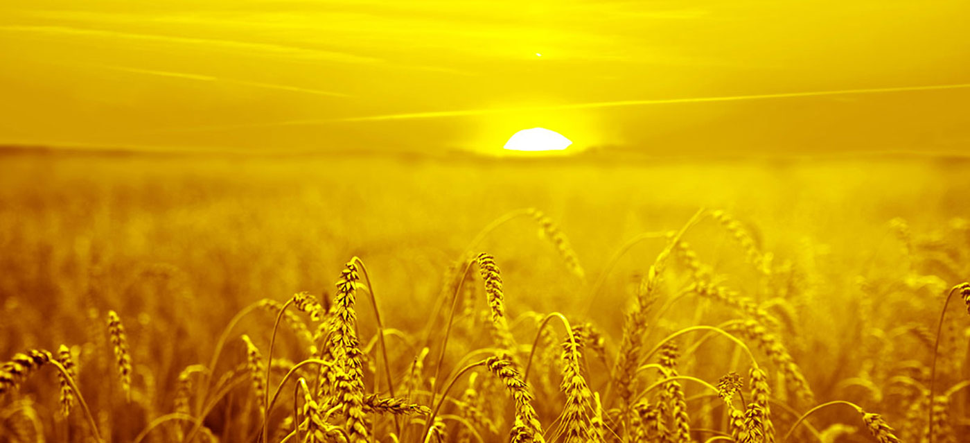 Lubimy oferować rozwiązania w zakresie kolorów